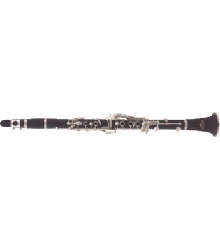 ROY BENSON CB-317 Bb кларнет (Французкая система 17 клапнов,6 колец)