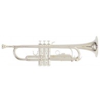 ROY BENSON TR-202S Bb труба (цвет серебро)