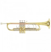 ROY BENSON TR-402 Bb труба (цвет золото)