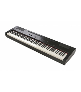 Цифровое фортепиано Artesia PA-88H