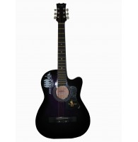 ALINA SG-100 - акустическая шестиструнная гитара