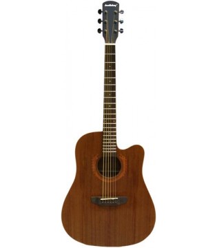 BULLDOG DN-Sigma 6 - акустическая гитара