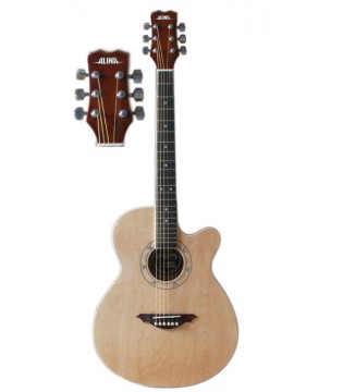 ALINA SG-700 - акустическая гитара, шестиструнная