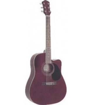 Акустическая гитара Palmer Western PD21С