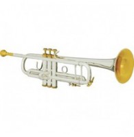 Труба Bach 180CUSTOM LR180S37 - строй Bb
