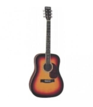 Акустическая гитара Brahner BG-270