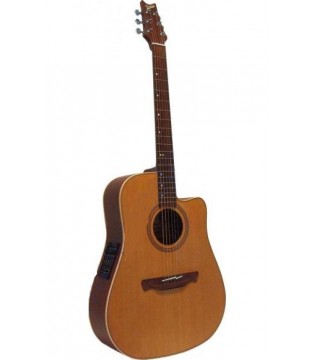 Акустическая гитара Cuenca NW-20 CW E3