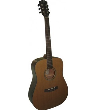 Акустическая гитара Woodcraft DW-100
