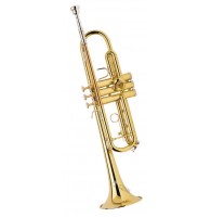 Труба Bach TR-300H -строй Bb