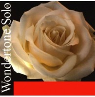 WONDERTONE SOLO PIRASTRO 410521 - струны для скрипки