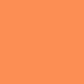 ROSCO Supergel # 317 Apricot светофильтр пленочный